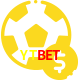 Aposte em esportes do mundo todo no YTBET!